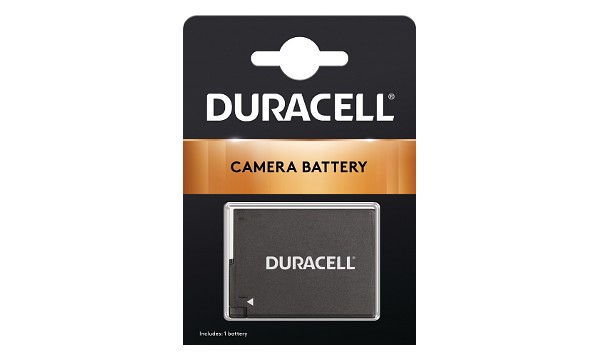 Replacement Panasonic DMW-BLC12 Battery