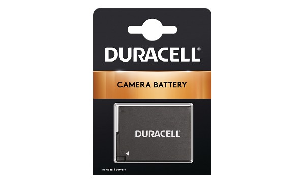 DMW-BLC12E Battery (2 Cells)